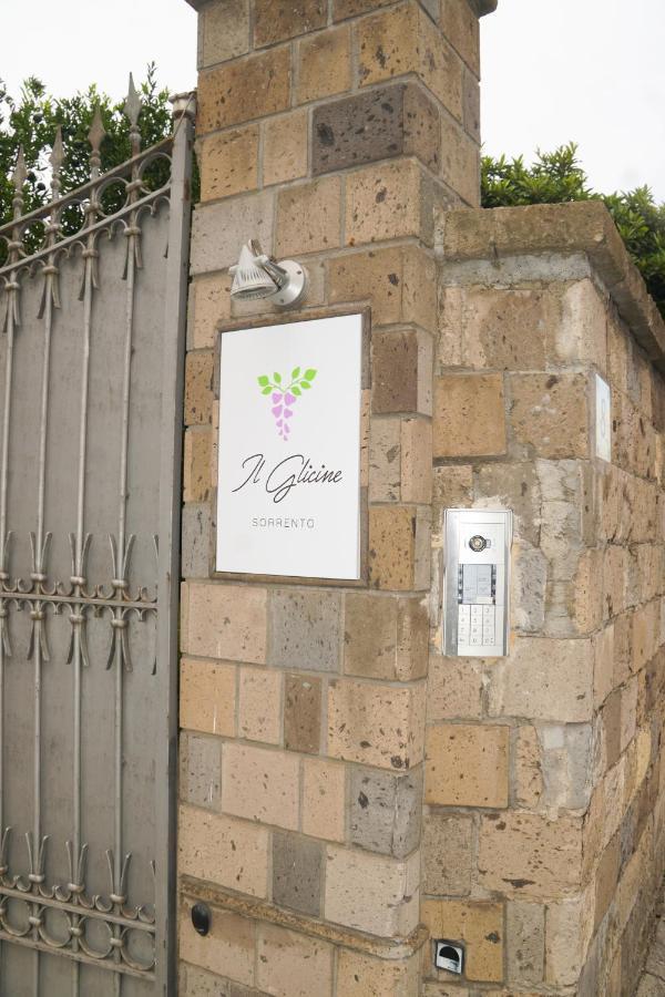 Hotel Il Glicine Półwysep Sorrentyński Zewnętrze zdjęcie